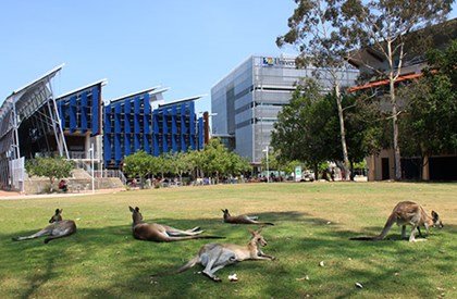University of the Australia